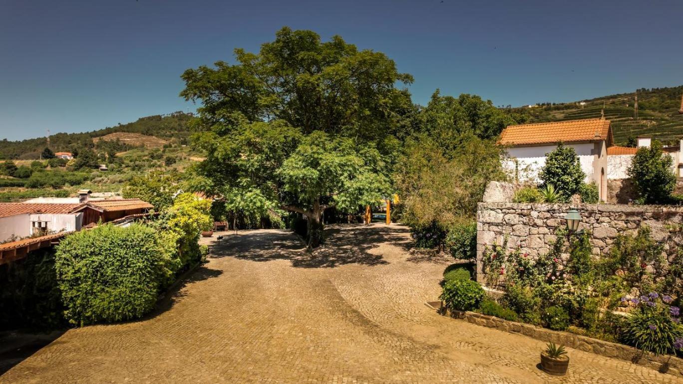 Quinta Do Terreiro - Turismo De Habitacao Hotell Lamego Eksteriør bilde